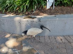 -布里斯班南岸公园