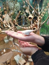 -Zoolung Zoolung动物主题公园(海信广场店)