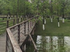 -沐仙湖湿地公园