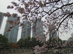 -成都市活水公园