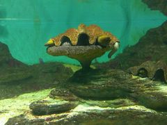 -北戴河圣蓝海洋公园