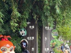 -成都动物园