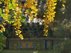 -潭柘寺景区