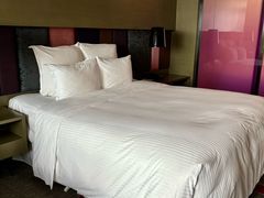 -南京禄口机场雅高铂尔曼大酒店