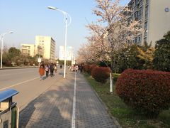 -江南大学(蠡湖校区)