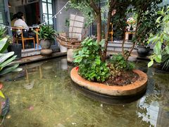 -海韵人家.海景花园经典云南菜(双廊店)