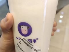 柠檬益菌多-一只酸奶牛(欧亚大观店)