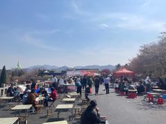 -樱花山风景区