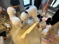 -小意思咖啡店(草桥店)