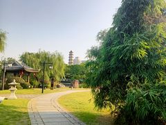 -江心屿景区