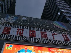 -莲花国际广场
