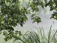 -中国湿地博物馆