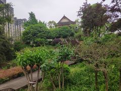 -大渡口区义渡公园