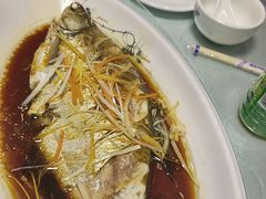-掌勺人鱼馆(朝阳镇店)