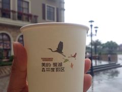 -美的鹭湖森林度假区