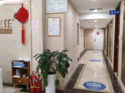 -碧莲盛·不剃发植发