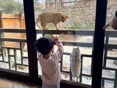 -北京古北水镇御舍温泉酒店