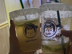 -楼上猫咖(罗湖店)