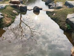 -黄埔油麻山森林公园