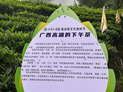 -姑婆山旅游区