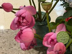 -芭莉与彩虹西餐厅(成都合生汇店)