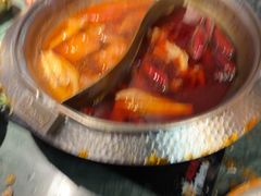 -牛New寿喜烧(金鹰世界店)