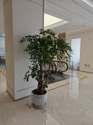 -韩辰医疗美容医院