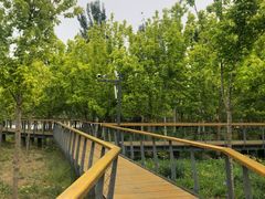 -东郊湿地公园