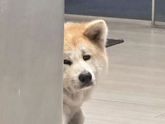 -YCHL Studios健身工作室(市二宫店)