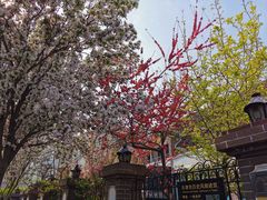 景点-天津五大道文化旅游区