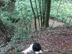 -凤栖山