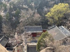 -北京凤凰岭