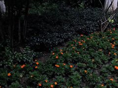-巴金故居