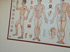 -殊德医馆