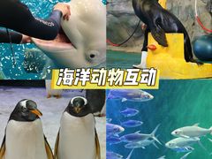 -威海华夏城景区