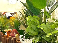 -春风·有糖(崇宁路店)