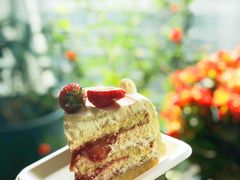 -派悦坊·甜品·蛋糕(日坛店)