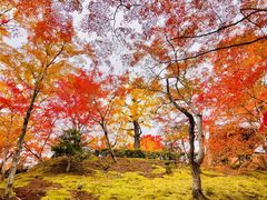-常寂光寺