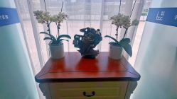 -联合丽格·张菡丽格医疗美容