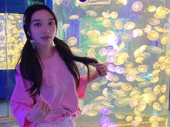 -重庆欢乐海底世界