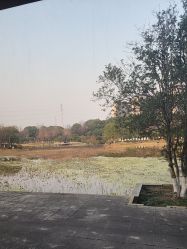 -雅馨国际月子中心