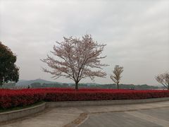 -石湖景区