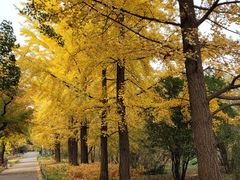 -国家植物园南园