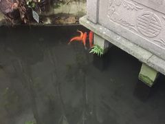 -杭州胡庆余堂第二中医门诊部