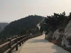 -府君山公园