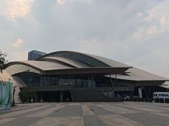 -合肥大剧院