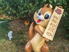 -欢乐松鼠谷