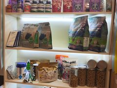 -猫十亿·布偶金渐层·曼基康矮脚猫舍(青年路店)
