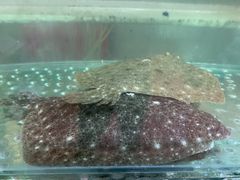 -雅逸居海鲜小厨