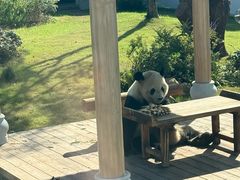 -无锡动物园·太湖欢乐园